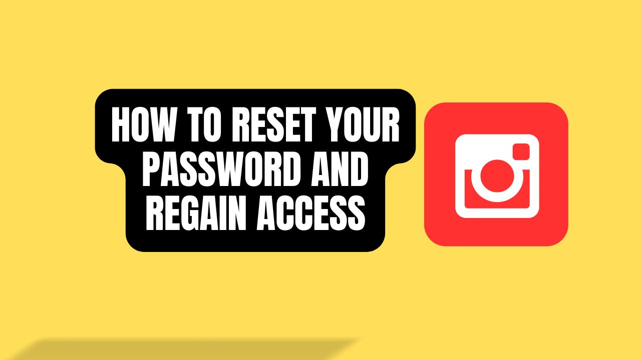 How to Reset Your Password and Regain Access